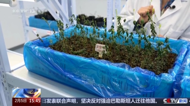 源 一起了解亚冬会里的黑色密码米乐m6黑土地、黑科技、黑色资(图3)