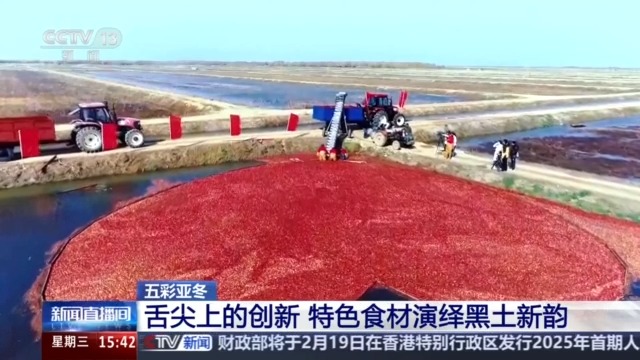 源 一起了解亚冬会里的黑色密码米乐m6黑土地、黑科技、黑色资(图14)