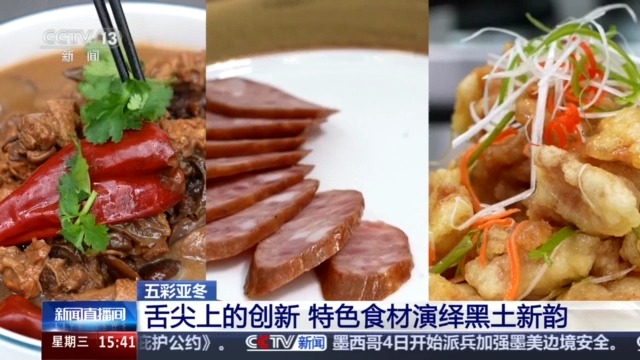 源 一起了解亚冬会里的黑色密码米乐m6黑土地、黑科技、黑色资(图15)