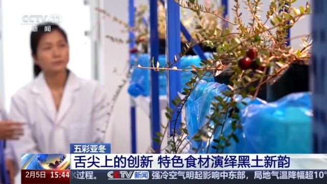 源 一起了解亚冬会里的黑色密码米乐m6黑土地、黑科技、黑色资(图17)